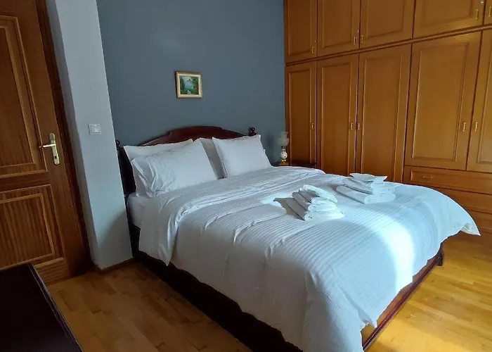 Friendly Flat 5 埃泽萨